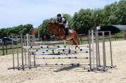 Poney de sport cso