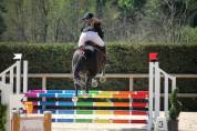 Jument sf ideale amateur