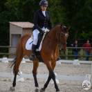 Cheval de sport pour cce amat 1 / elite 