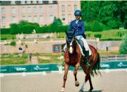 Jument - hanovrienne - 11 ans - dressage - france 