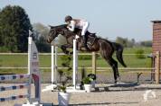 Top jument pour s’éclater au concours!