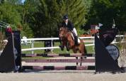 Ponette, new forest de 5 ans
