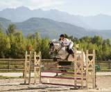 Poney cso à vendre 