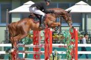 Jument selle français 6ans cso cce hunter 