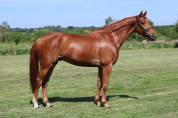 Lafayette d anchat