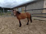 Nouba ii arquetan - 3 ans joli modèle