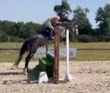 Male sf 4 ans catchar mail x casano
