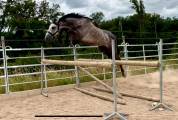 Male sf 4 ans catchar mail x casano