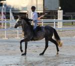 Male sf 4 ans catchar mail x casano