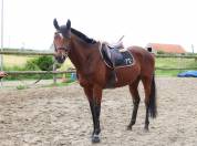 Taz - 5ans - 1m68