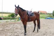 Taz - 5ans - 1m68