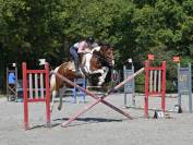 Jument zangersheide cso 5ans