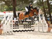 Excellent poney de grand prix à vendre 