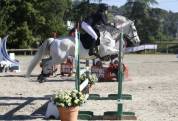Super ponette de sport connemara