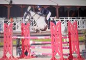 Oise: poney d as2/as1 à vendre 