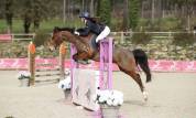Poney d sport 