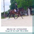 Top 4 ans sf env 1m69 cso cheval d avenir