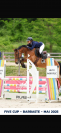 Jument cso