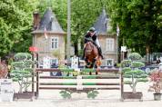 Super poney de 7 ans, étalon pfs agré
