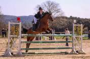 Psf jument, 13 ans, cso pelite/as2