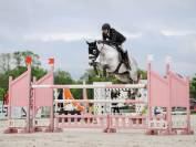 Cassalo – hongre de 11 ans – 1m68