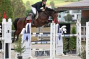 Tres beau hongre de sport, victorieux jusqu à 125cm