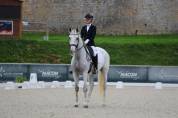 Hongre - pre lusitanien - 12 ans - dressage saint-georges - france