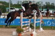 Jument de cso de 9 ans