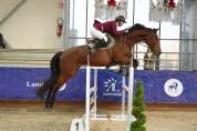 Victoire montana z ? jument zangersheide de 4ans