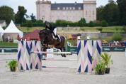 Jument - oldenbourg - 8 ans - dressage - france
