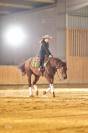 Hongre quarter horse pp
