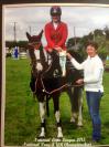 148cm irish showjumping pony