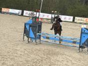 Magnifique 5 ans irelandaise