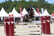 A vendre poney d