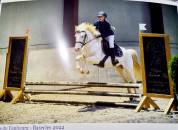 Poney c