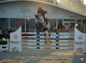 Jument de 6 ans sbs par couleur latour