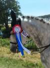 Performer as poney élite