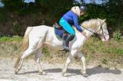 Etalon curly pur race