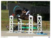 Jument par nippon d elle x gloria des vaux (quidam de r
