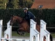 Jument par contendro x adonai de ravel (fergar mail)