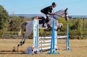 Dragees, superbe jument de 6 ans à orientation cce 