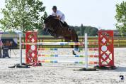 Crack 8 ans cso amateur elite (royal f, diamant de s)