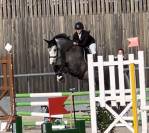 Poney à vendre hold-up du val
