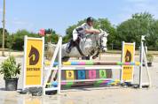 Ponette par idefix du villon
