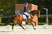 Cheval 