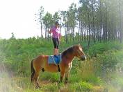 La méthode équine impériale vous présente les chevaux..