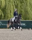 Jument dressage croisée kwpn/lusitanienne