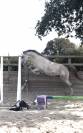 3 ans par cabrio z