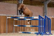 Prometteur entier oldenbourg