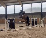 Jument prenant 4 ans conte bellini x quantum